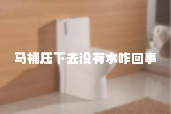 馬桶壓下去沒有水咋回事