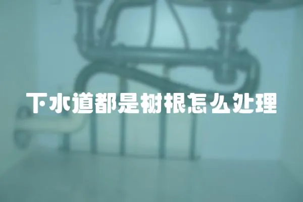 下水道都是樹根怎么處理