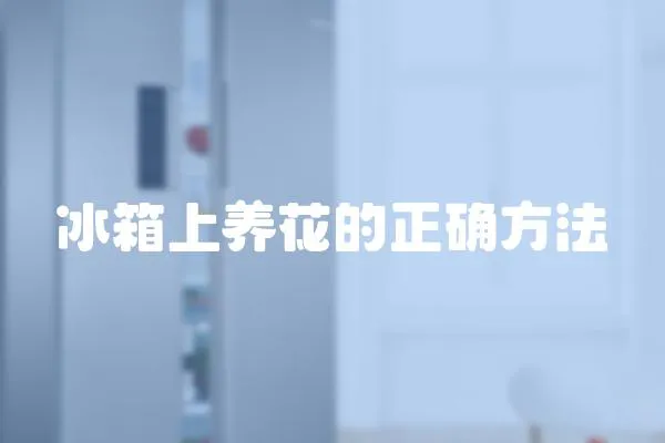 冰箱上養花的正確方法