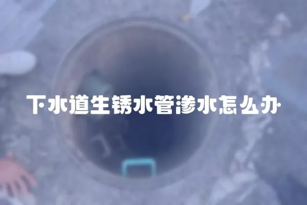 下水道生銹水管滲水怎么辦