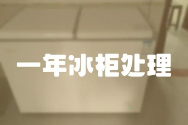一年冰柜處理