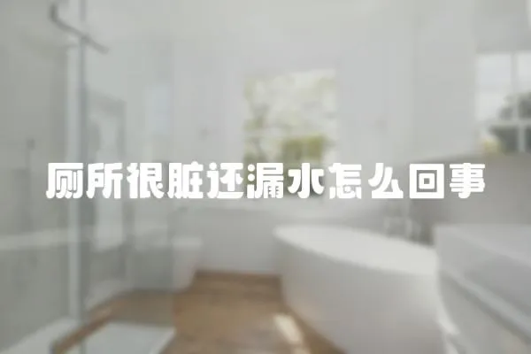 廁所很臟還漏水怎么回事