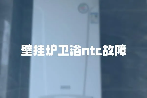 壁掛爐衛(wèi)浴ntc故障
