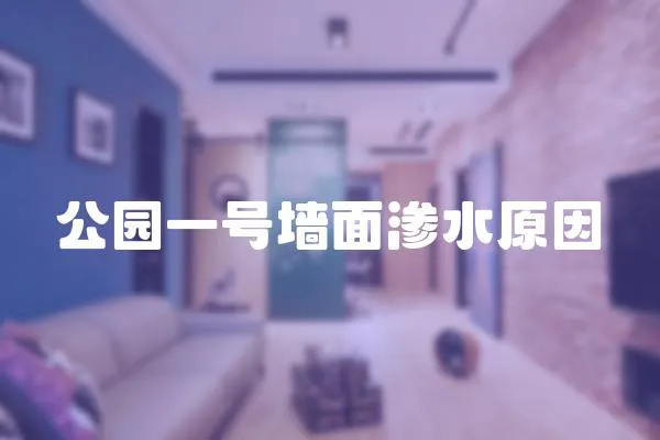公園一號墻面滲水原因