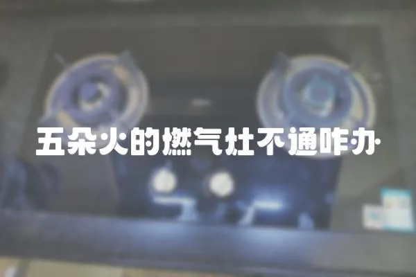 五朵火的燃?xì)庠畈煌ㄕk