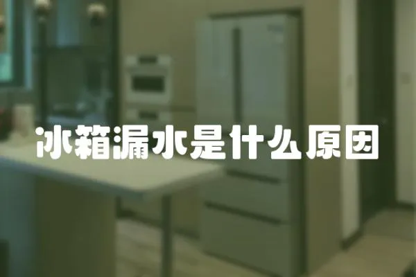 冰箱漏水是什么原因