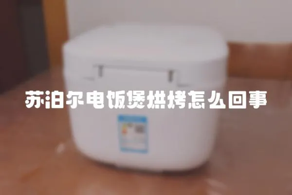 蘇泊爾電飯煲烘烤怎么回事