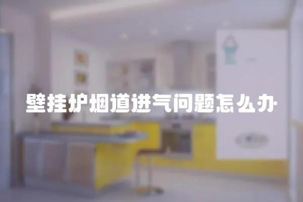 壁掛爐煙道進氣問題怎么辦