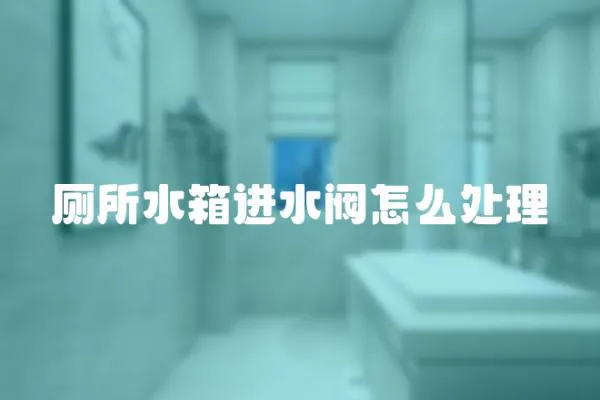 廁所水箱進(jìn)水閥怎么處理
