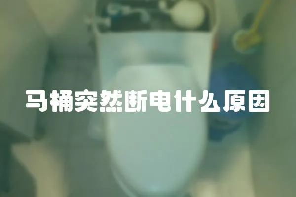 馬桶突然斷電什么原因