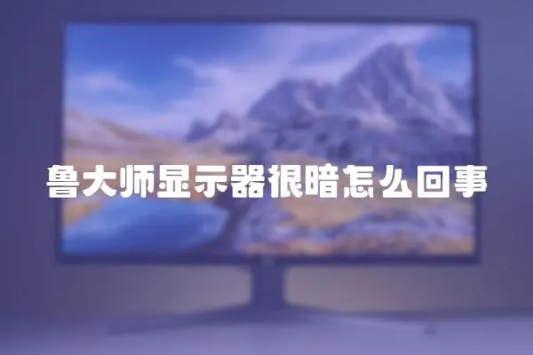 魯大師顯示器很暗怎么回事