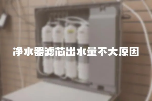 凈水器濾芯出水量不大原因