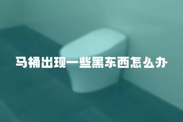 马桶出现一些黑东西怎么办