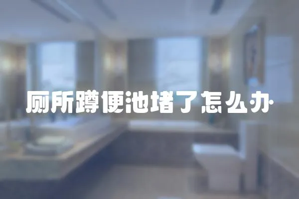 廁所蹲便池堵了怎么辦