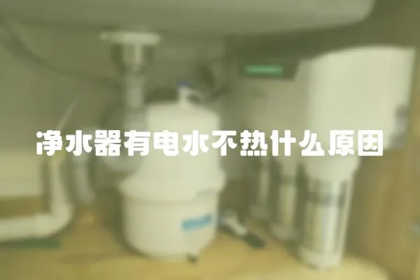 凈水器有電水不熱什么原因