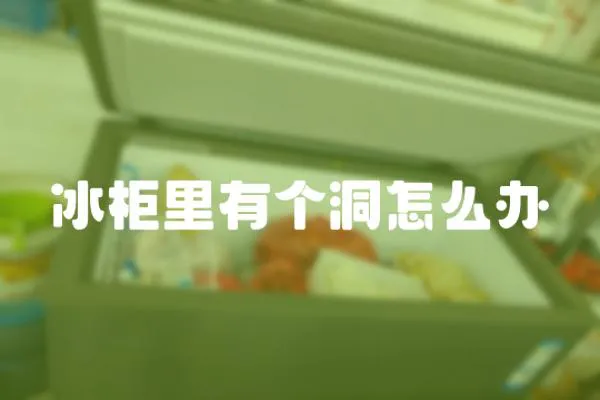 冰柜里有個洞怎么辦