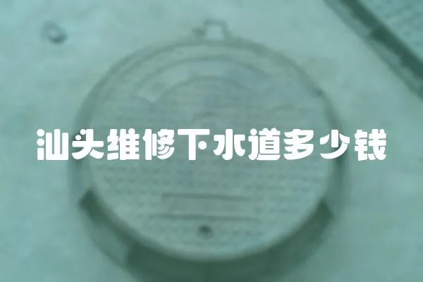 汕頭維修下水道多少錢