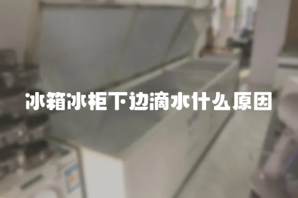 冰箱冰柜下邊滴水什么原因