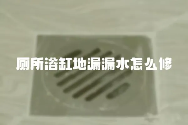 廁所浴缸地漏漏水怎么修