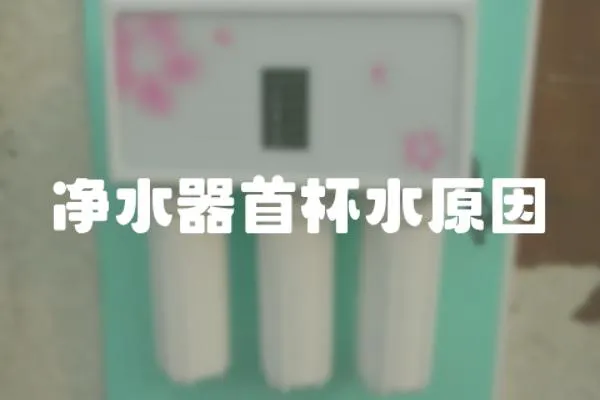 凈水器首杯水原因