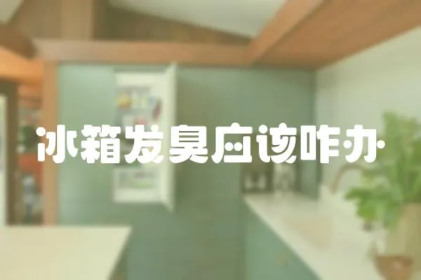 冰箱發臭應該咋辦