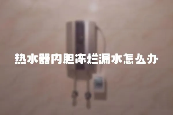 熱水器內膽凍爛漏水怎么辦