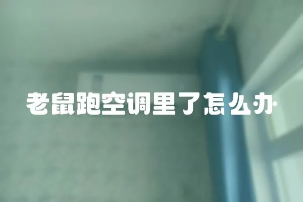 老鼠跑空調(diào)里了怎么辦