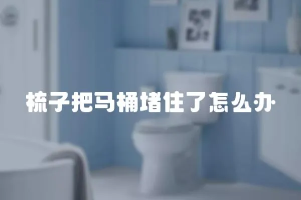 梳子把馬桶堵住了怎么辦