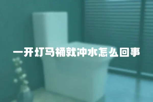 一開燈馬桶就沖水怎么回事