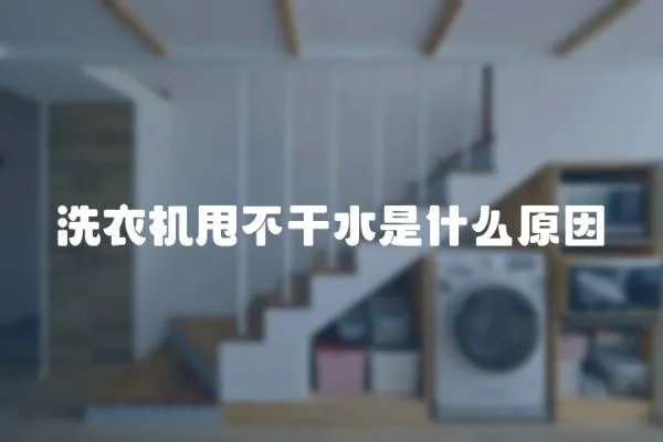 洗衣機甩不干水是什么原因