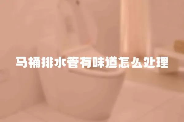 馬桶排水管有味道怎么處理