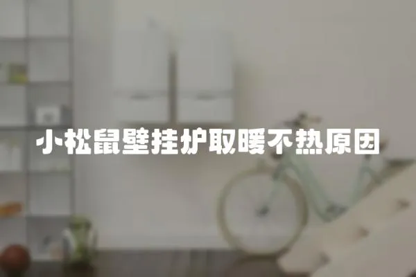 小松鼠壁掛爐取暖不熱原因