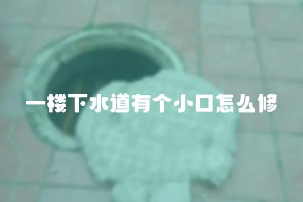 一樓下水道有個小口怎么修