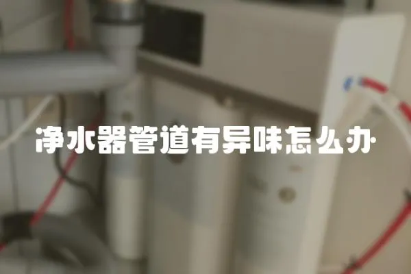 凈水器管道有異味怎么辦