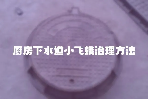 廚房下水道小飛蛾治理方法