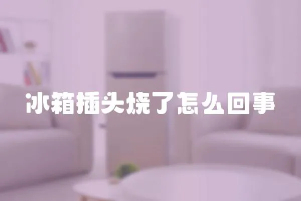 冰箱插頭燒了怎么回事