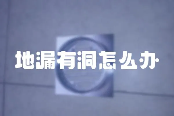 地漏有洞怎么辦
