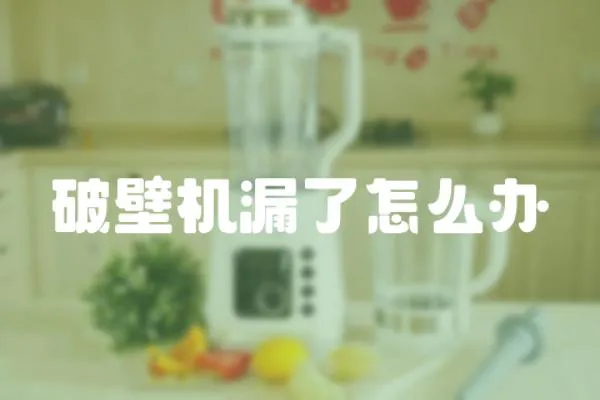 破壁機漏了怎么辦