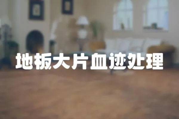 地板大片血跡處理