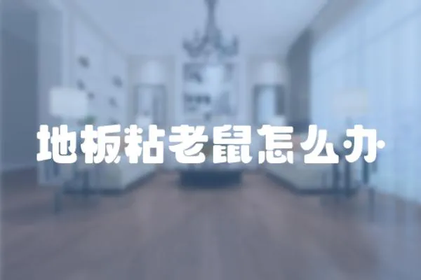 地板粘老鼠怎么辦