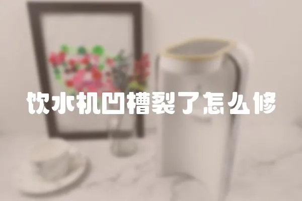 飲水機凹槽裂了怎么修