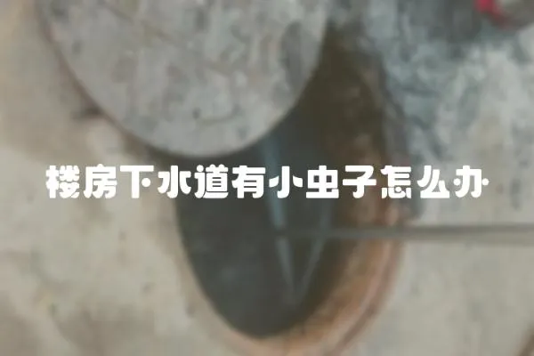 樓房下水道有小蟲子怎么辦