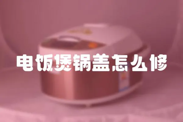 电饭煲锅盖怎么修