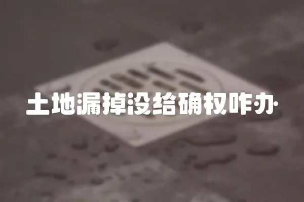 土地漏掉沒給確權咋辦