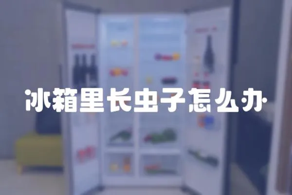 冰箱里長蟲子怎么辦