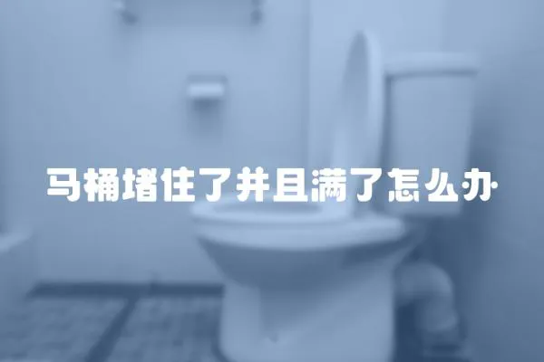 马桶堵住了并且满了怎么办