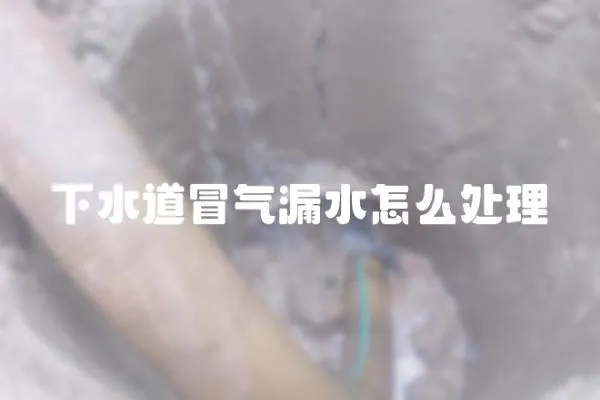 下水道冒氣漏水怎么處理