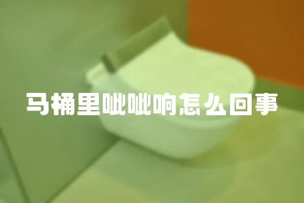馬桶里呲呲響怎么回事