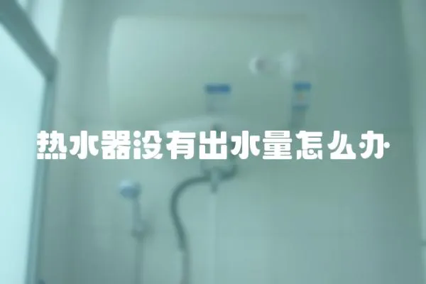 熱水器沒有出水量怎么辦