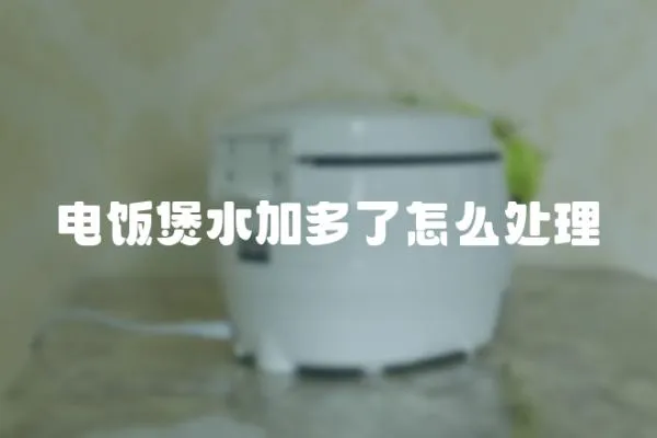 電飯煲水加多了怎么處理